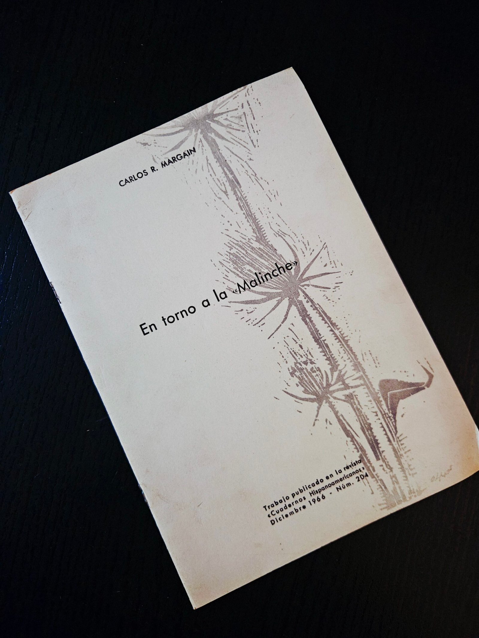 Libro en Español sobre La Malinche por Margain