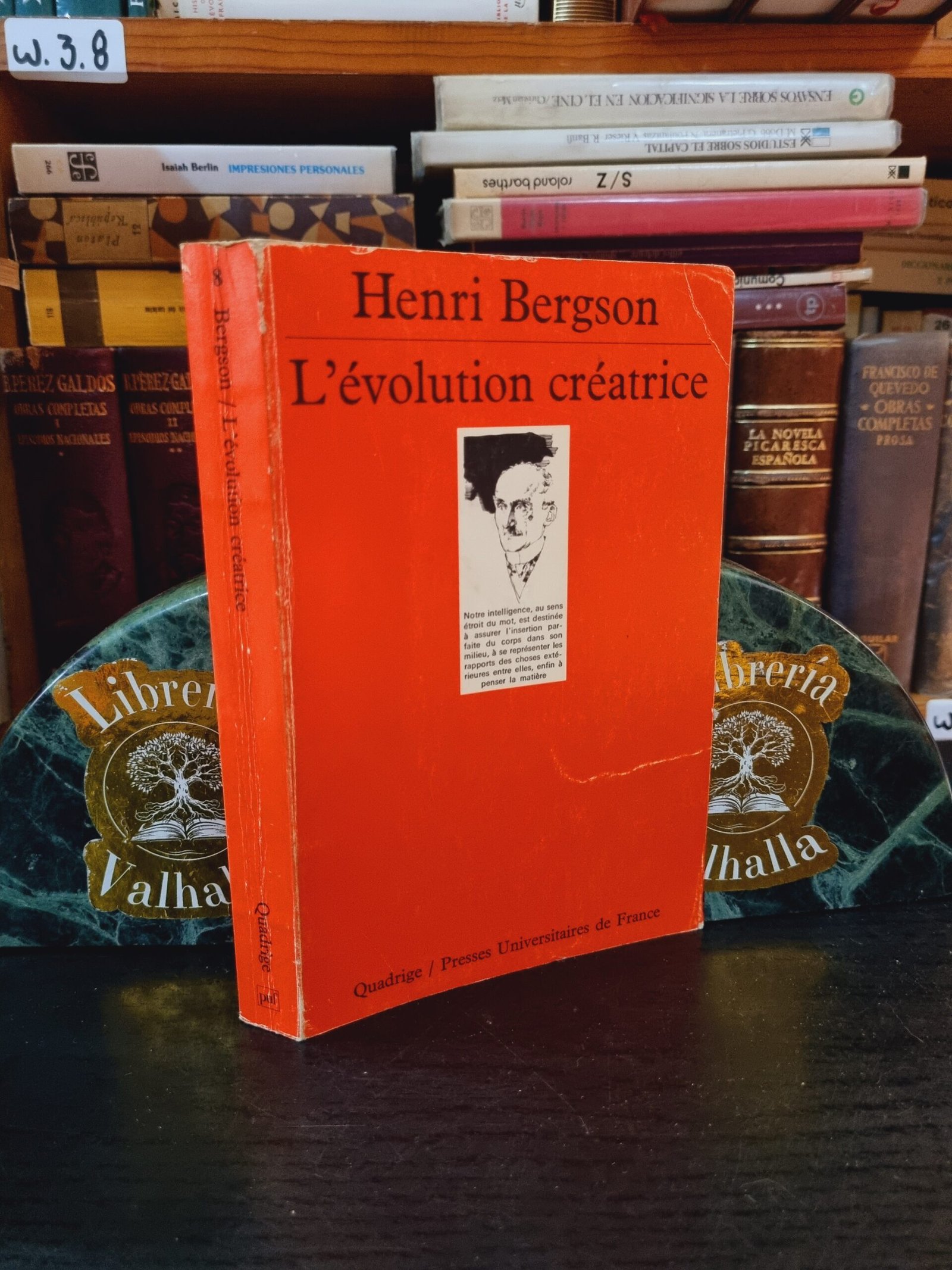 L'évolution créatrice