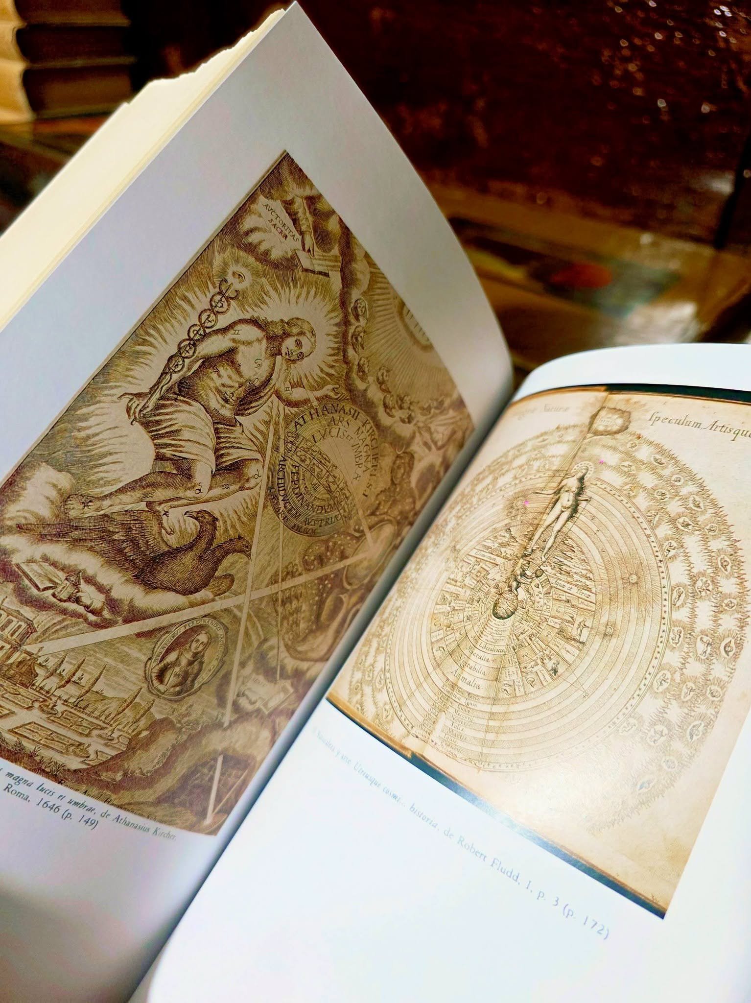 Giordano Bruno y la tradición Hermética, Frances A Yates - Imagen 2